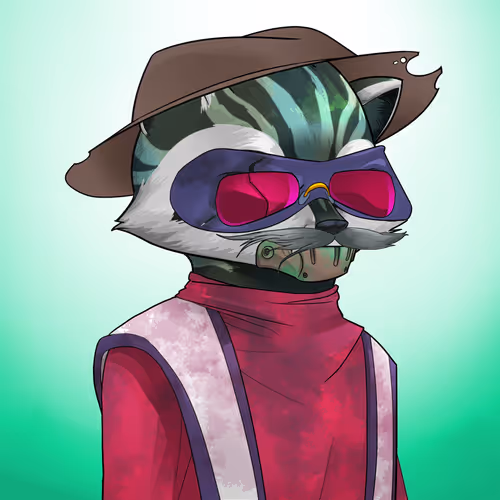 Call Of Raccoons