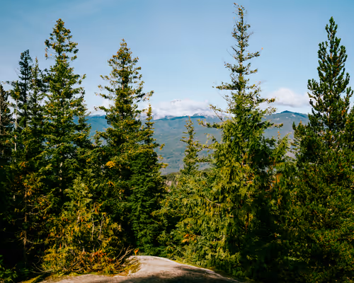 Item #2 Media