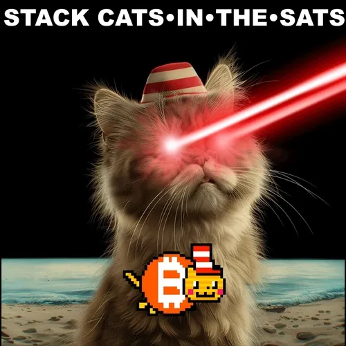 Stack $CATS #2