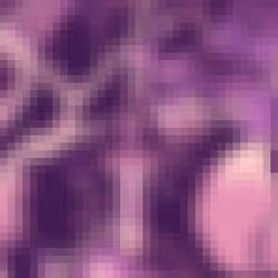 37145379538353127936340636328348937742970197937680422398165200254763737242281