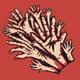 54762483294585935971646347675704289415809117373399350287435730921102399573719