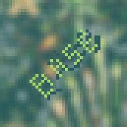 BasePaint Contribution to Day #332