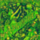34048019951134726710077623795677410204525469381705565286954612672758849648896