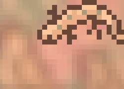 69737721446036439736353445720387256668611962796184689053843985133721622946765