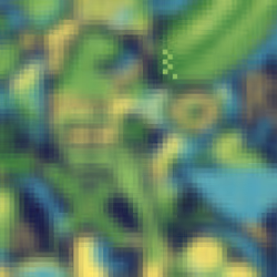 23868222283866445149892860045352352052538826433817509841756538118945704819032