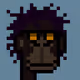 ApePunkClub #4855