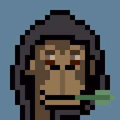 ApePunkClub #3503