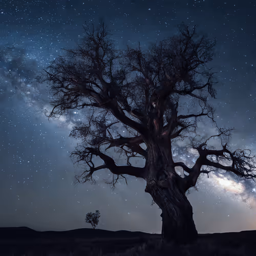 Milky Way 45