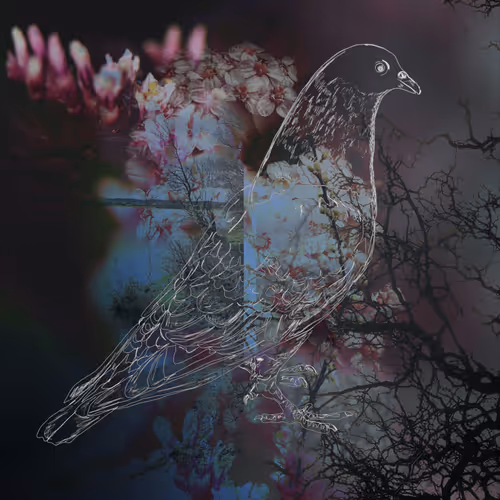 Fanciful Daydreaming