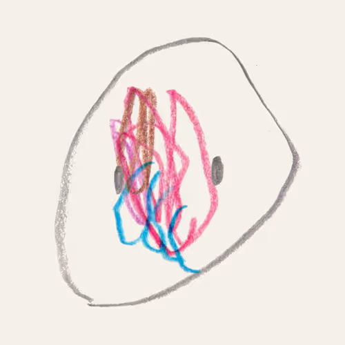 #262
