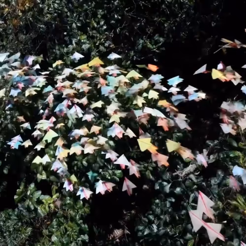 Paper Airplanes