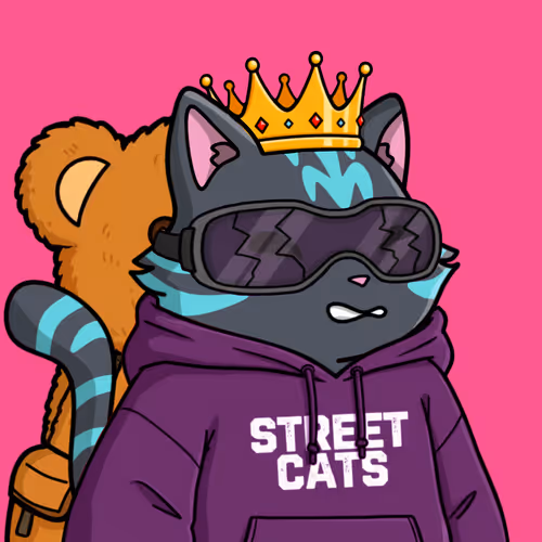 Outtailzofficial
