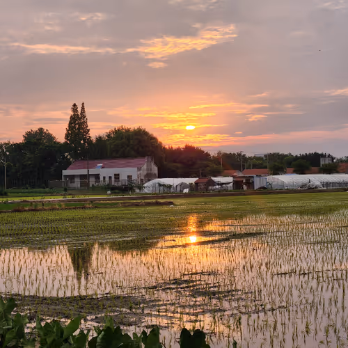 Everysunset