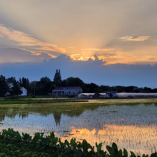 Everysunset