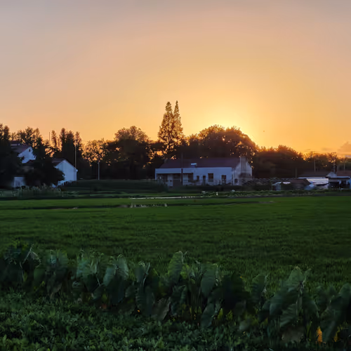 Everysunset