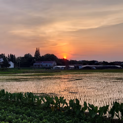 Everysunset