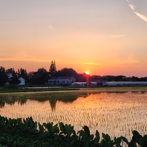 Everysunset