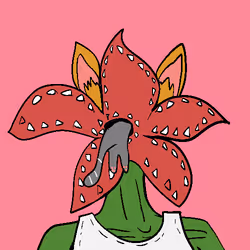 855