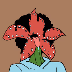 491