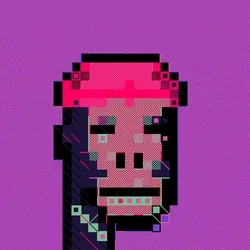 EXCOPUNKS