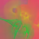 95