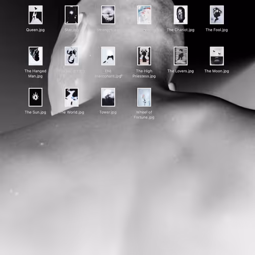 Rodeo Posts 308