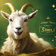 golden goat