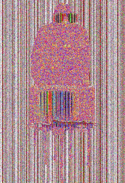 Item #555 Media