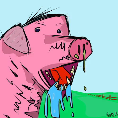 Ham Ily Album