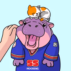 MooDeng #112