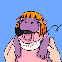 MooDeng #1284
