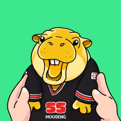 MooDeng #1281