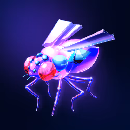 Brian Morris : Based 2024