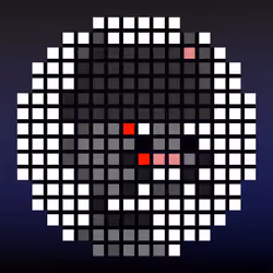 81