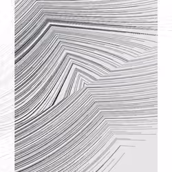 Monochrome #41