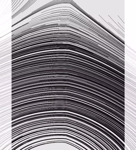 Monochrome #264