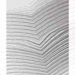 Monochrome #454