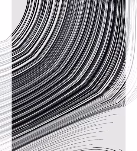Monochrome #430