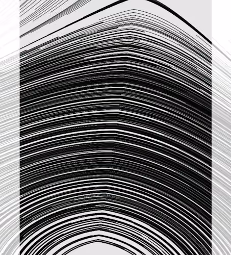 Monochrome #51