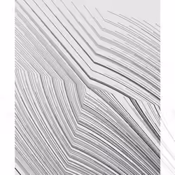 Monochrome #455