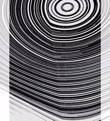 Monochrome #558
