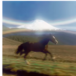 Horse