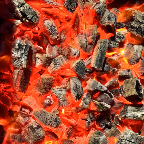 Life is fire