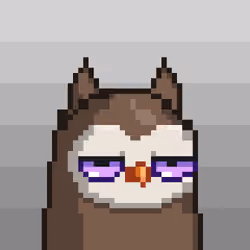 Based Owls V2 #493