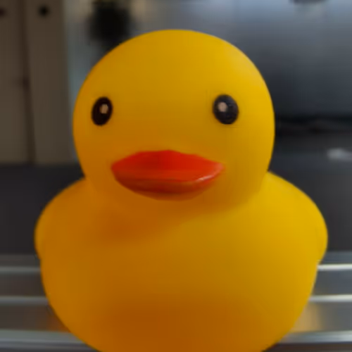 YELLOWDUCK