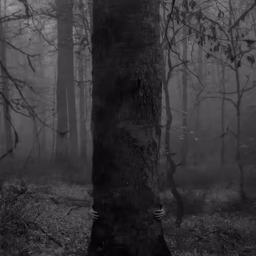 tree hug