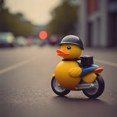 Rubber Duck 5