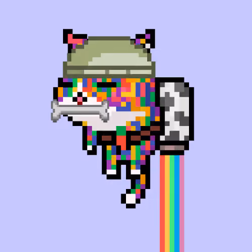 KI555