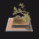 3DBonsaiPain