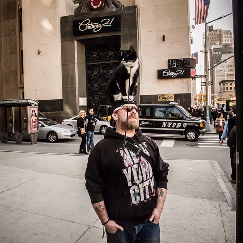 Newyork Newyork Rainerhosch